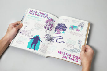 transit_amami_ryukyu_12