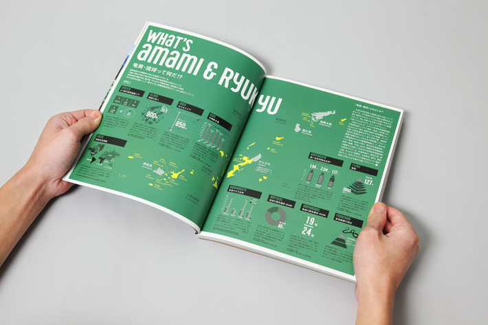 transit_amami_ryukyu_3