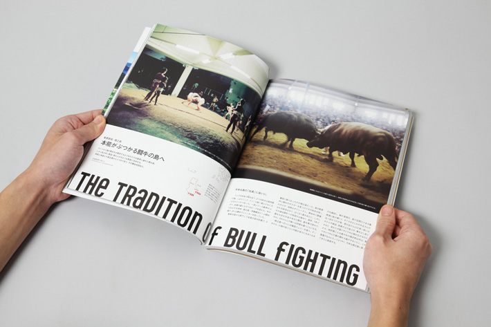 transit_amami_ryukyu_7